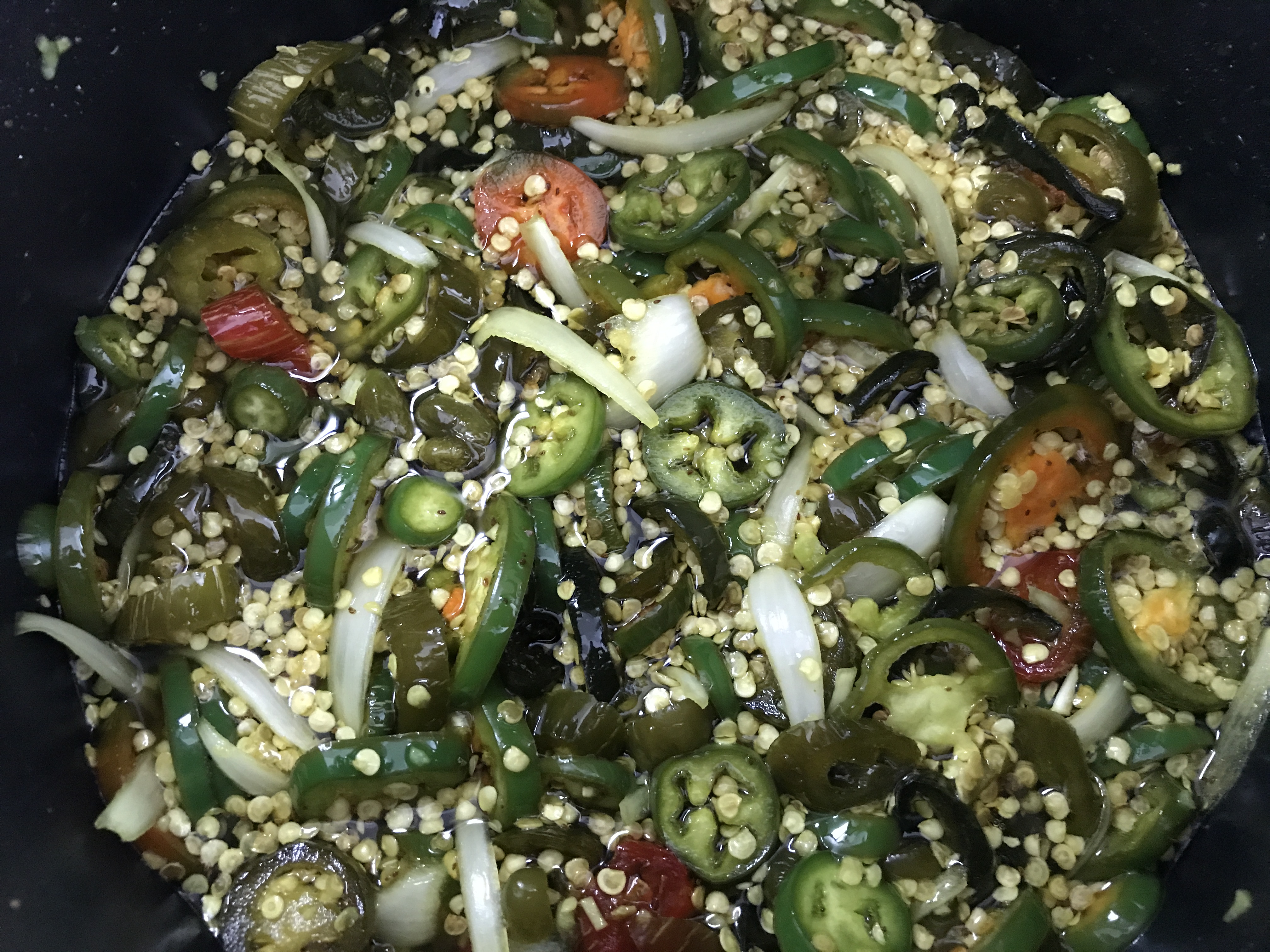 Candied Jalapenos – Nechkash.com